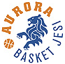 https://img.520aiqi.com/img/basketball/team/a77950f390405e3042f9691c09d63251.gif