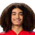 https://img.520aiqi.com/img/football/player/87359ed9061cfd73513d827263deebcd.png