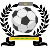 https://img.520aiqi.com/img/football/team/6dc6d59af2f0962597b412473a6708ee.png