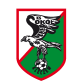 https://img.520aiqi.com/img/football/team/e6a8908dd206e2ea02d9803c82c60bba.png